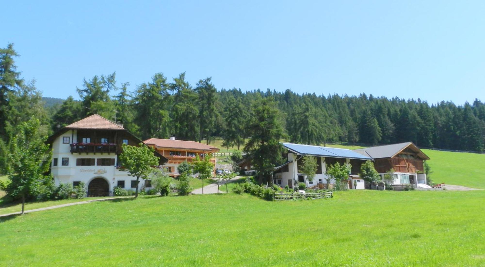 Laerchhof Villa Collalbo Buitenkant foto