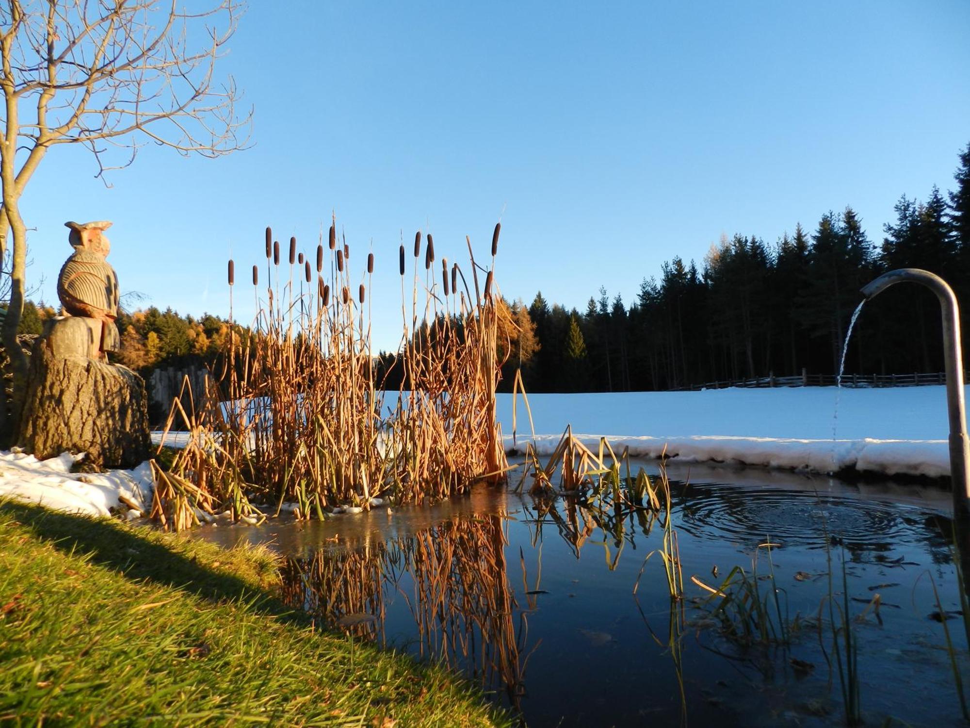 Laerchhof Villa Collalbo Buitenkant foto