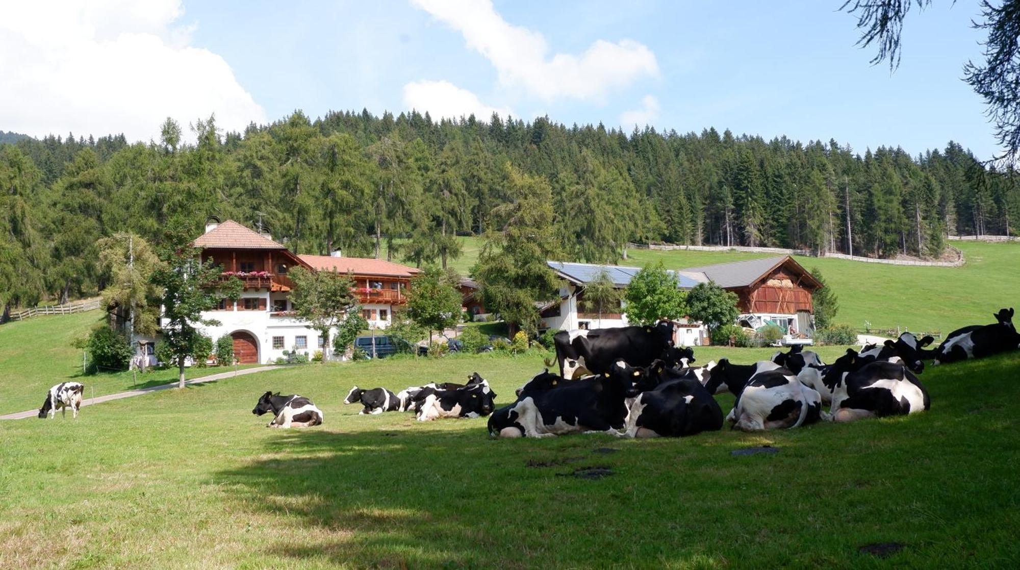 Laerchhof Villa Collalbo Buitenkant foto