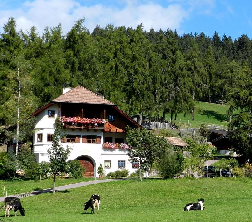 Laerchhof Villa Collalbo Buitenkant foto